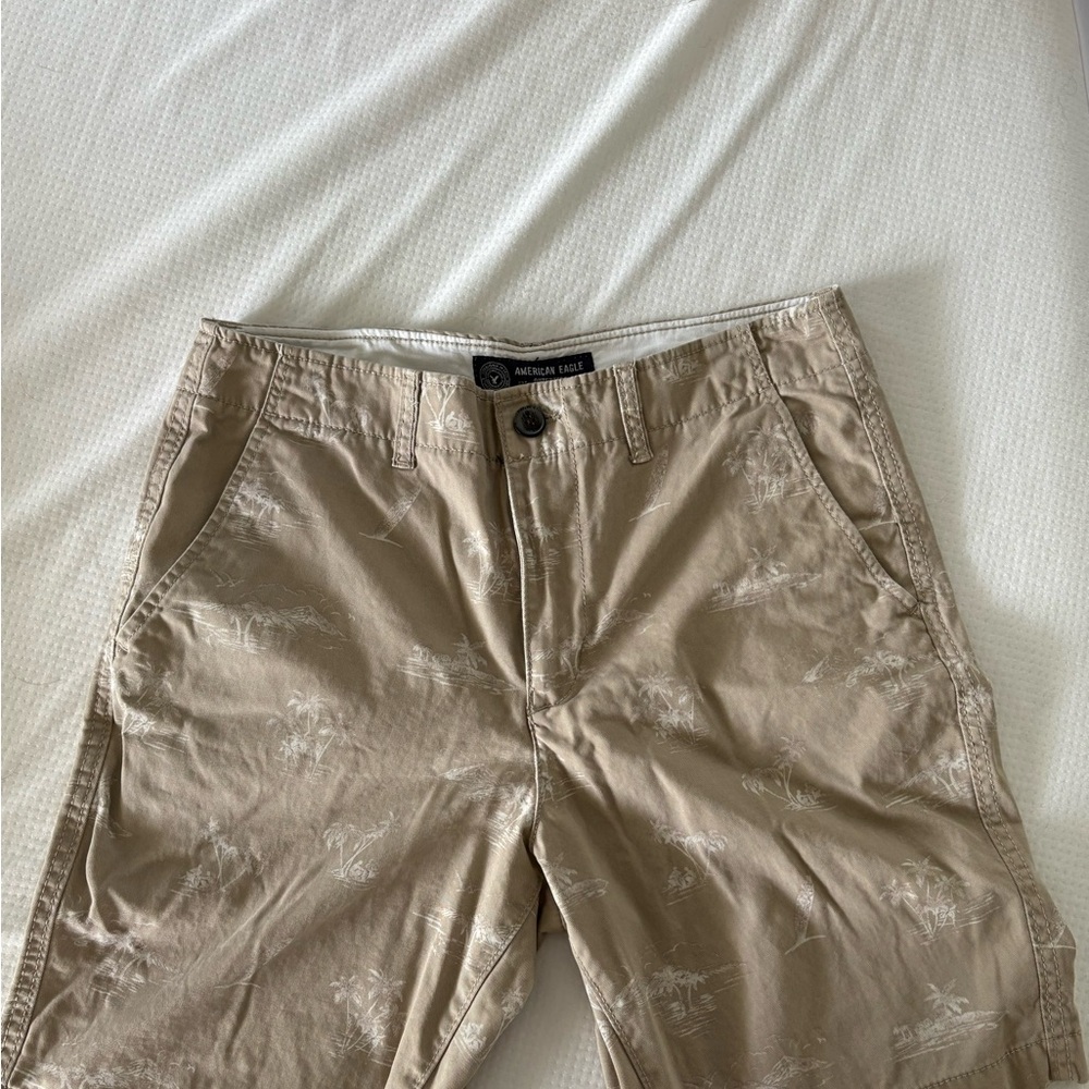 American Eagle Outfitters Tan Flat Front Shorts